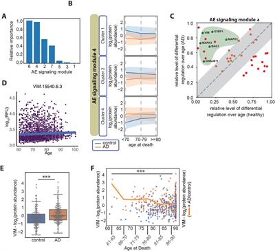 An interpretable deep learning framework identifies proteomic drivers of Alzheimer’s disease